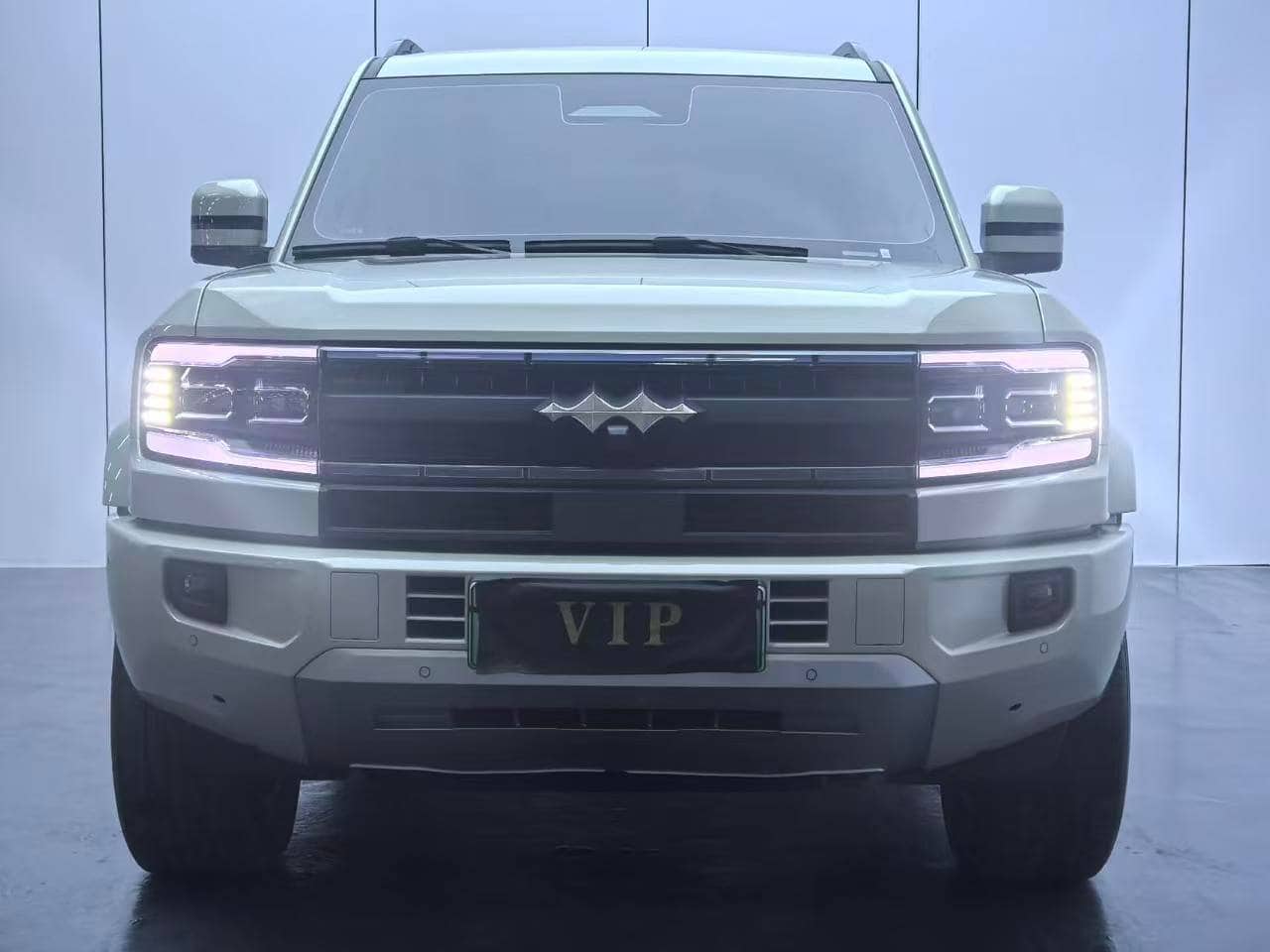 2025 FANGBAO Leopard 5; curated vehicle image