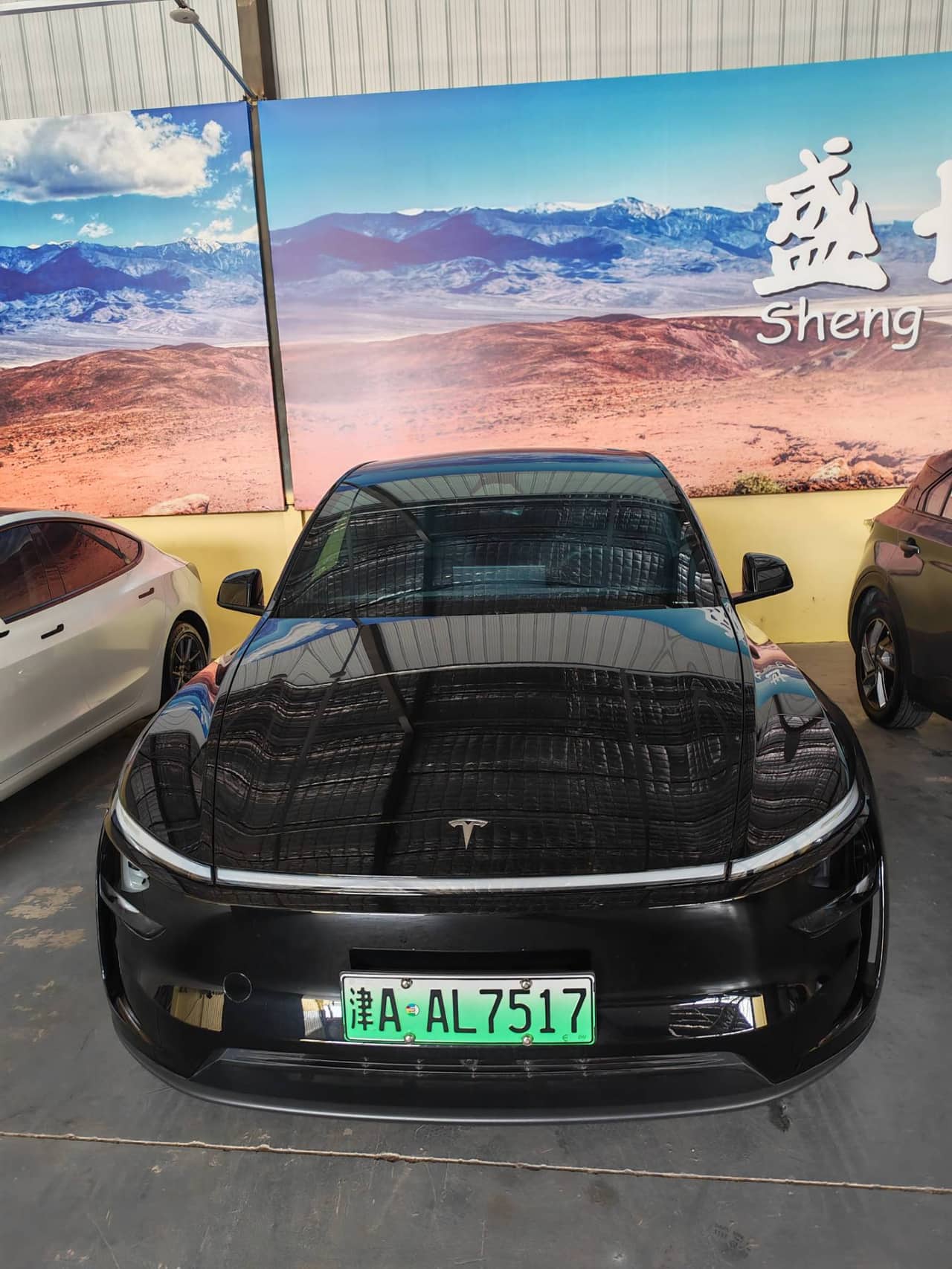 2026 Tesla Model Y; curated vehicle image